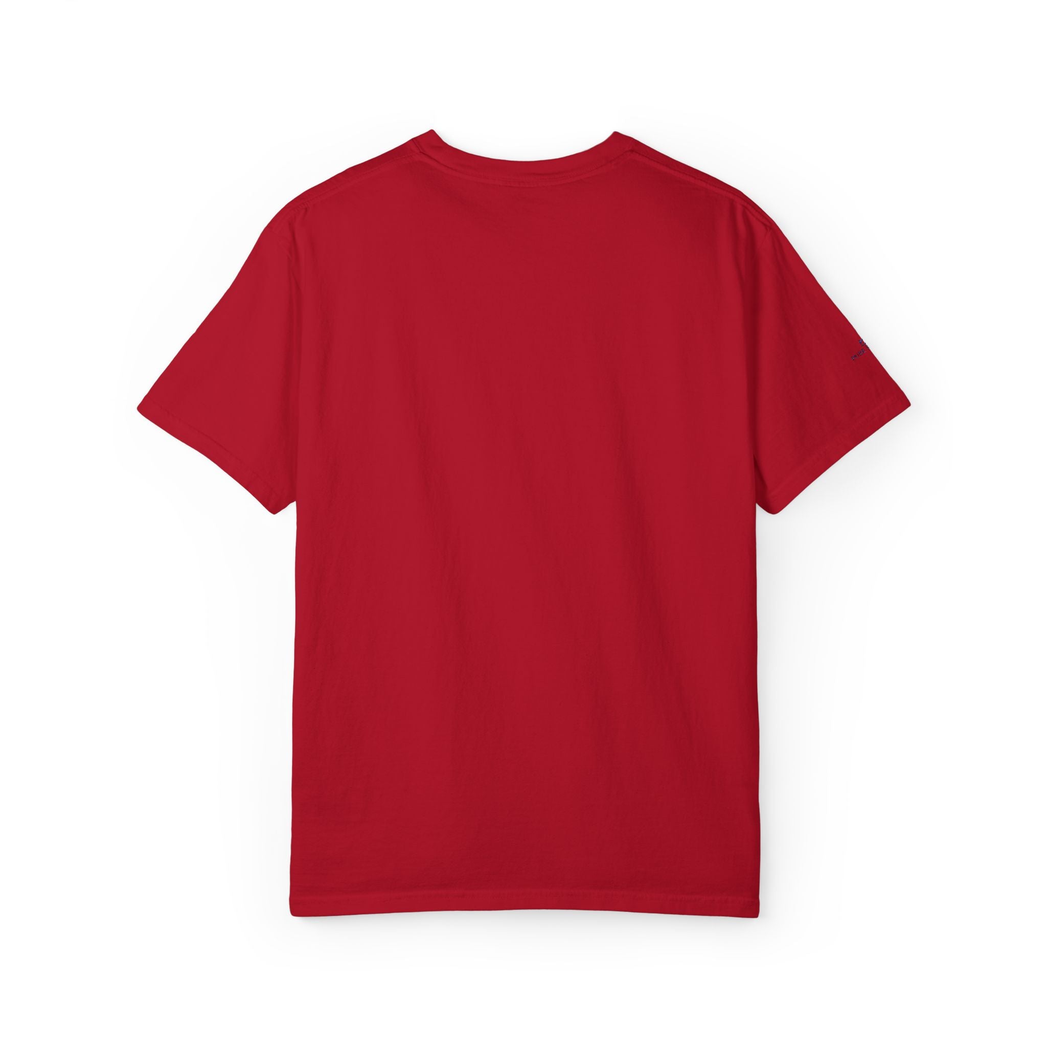 Garment-Dyed T-Shirt for Everyday Style, Relaxed Fit Tee, Unisex Casual Wear, Versatile Summer Top, Gift for Friends